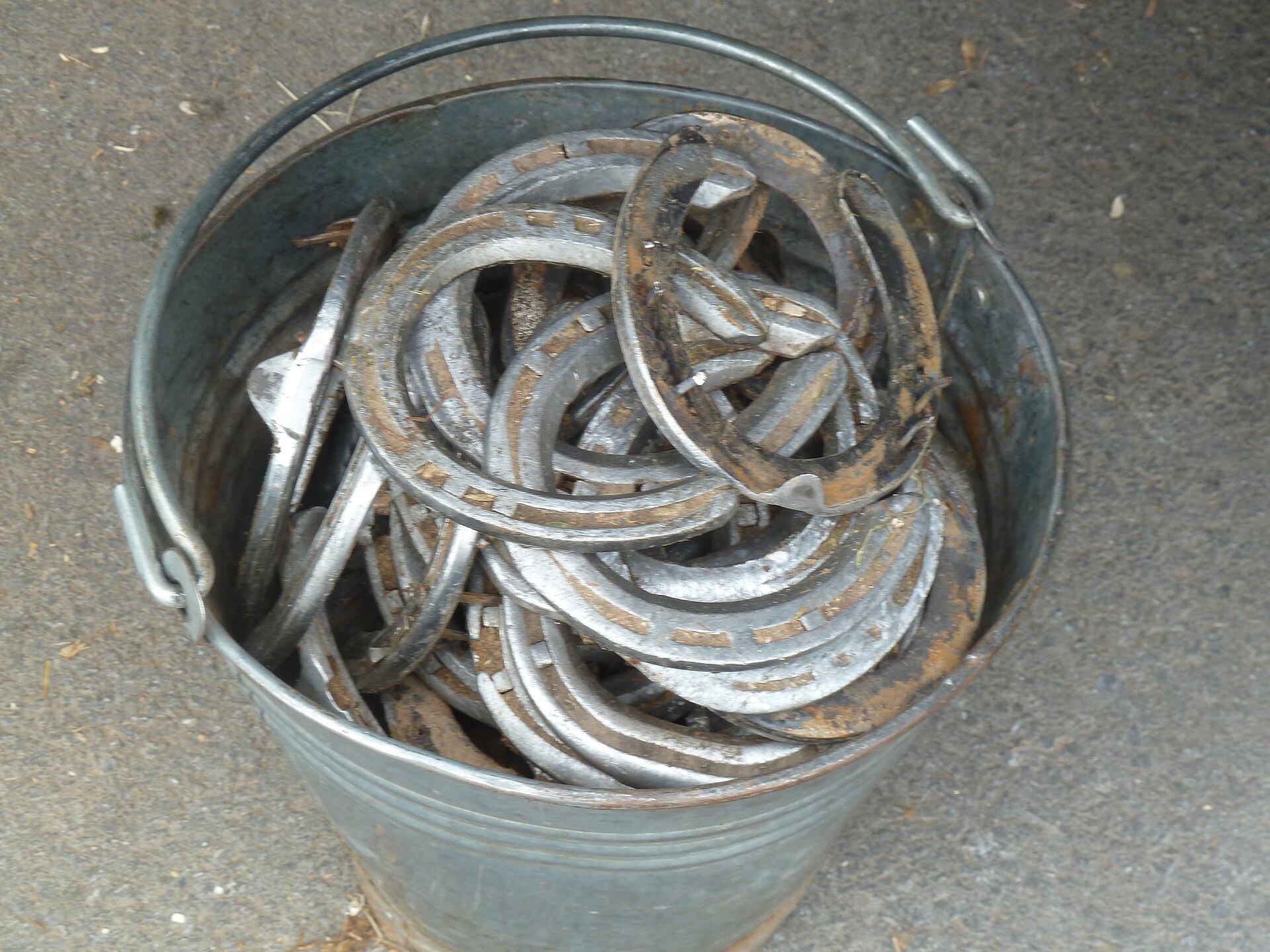 Ironclad Farrier & Equine Services